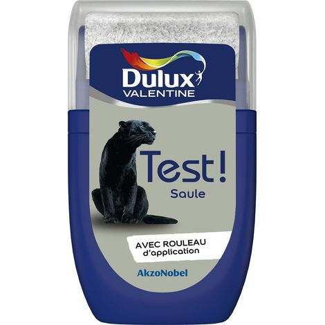 Testeur couleur Saule 30 mL - Peinture Dulux Valentine (1/5)