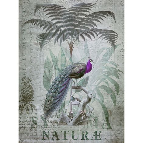 Papier peint panoramique jungle vintage Tapisserie panoramique oiseaux exotique pour salon Papier peint panoramique tropical nature avec paon (1/2)