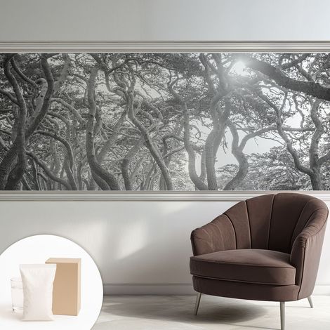 Papier peint intissé avec imprimé pour décoration intérieure pour rénovation a motif - Colle incluse gratuite Forêt atmosphérique 250x104 cm (1/5)