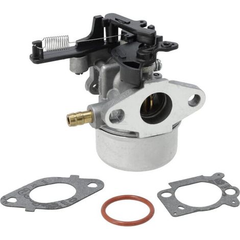 Carburateur BRIGGS & STRATTON 799447 (1/2)