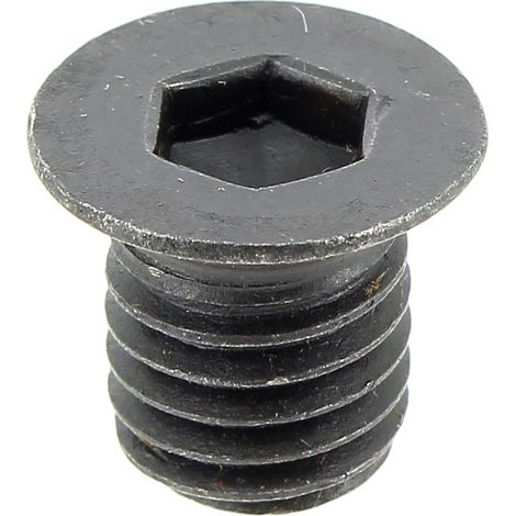 Vite per coltelli 5131004883 per trituratore ryobi