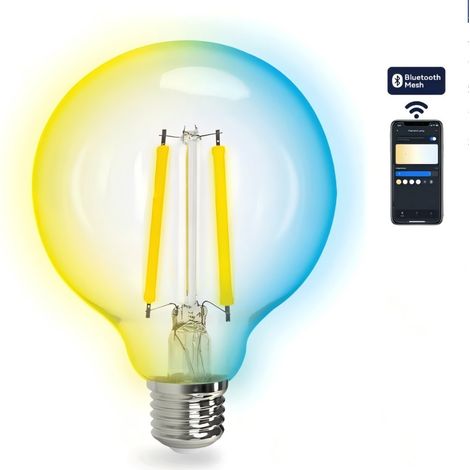 Ampoule connectée Aigostar G95 E27 6W à grille réglable et Bluetooth, style vintage, avec verre dégradé (1/2)