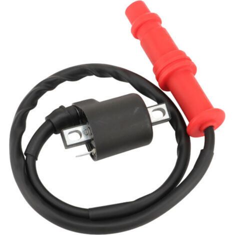 Bobine d'Allumage pour Polaris Magnum 500 (2000-2003) / Xpedition 425 (2000-2002) – Réf. 3085228/3085227 (1/4)