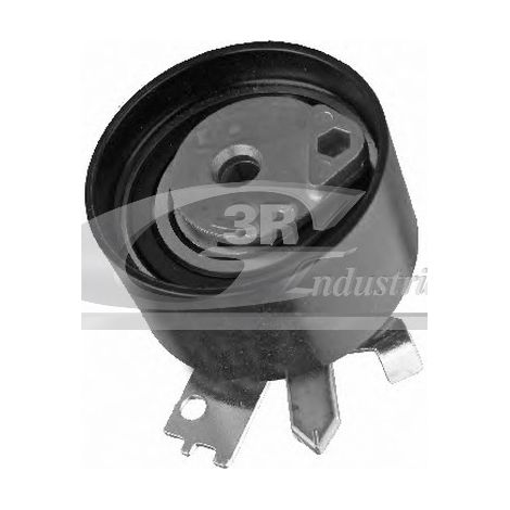 3RG 13631 RODILLO TENSOR