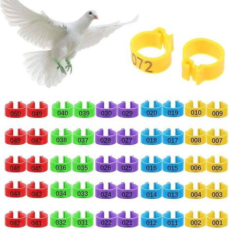 50Pcs Bague pour Poule, Bague pour Poule Identification, Bague Poule Anneaux de Jambe d'Identificatio, 16 mm, 5 Couleurs Anneaux de Jambe d'Identification Clip, Numéro 1–50, pour Poulet, Canard Goose