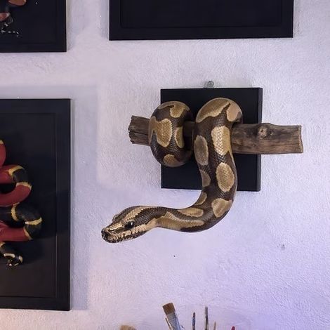 Nouvelle décoration murale Python royal doré - Sculpture murale Python royal doré - Brun