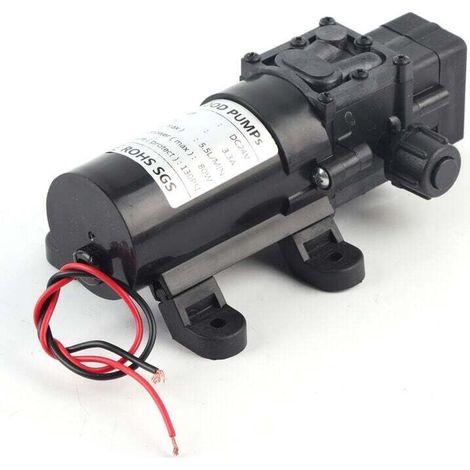 24V DC 80W 5.5L/MIN Self-Priming Diaphragm Water Pump with Automatic Pressure Switch