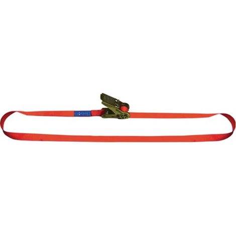 Dolezych Correa de amarre DIN EN 12195-2 Longitud 6 m Ancho 25 mm - 16250700 (1/3)