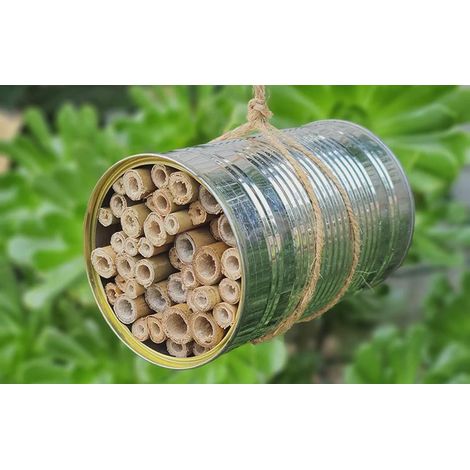 Handmade Insect House (7.5 cm diameter) Bamboo cane sticks