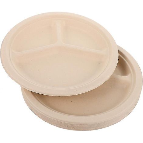 20 Stück Bagasse-Fachteller