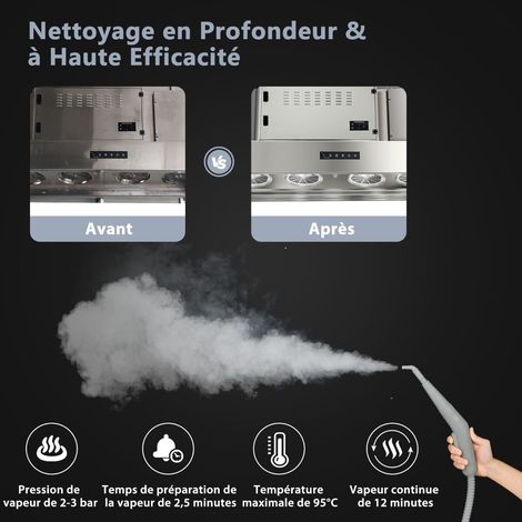 Nettoyeur vapeur portatif gris 1000 W avec réservoir de 300 ml, tuyau de 1 m et 10 accessoires pour maison, voiture et textiles (1/5)