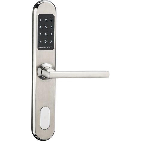 Serrure de porte numérique intelligente (Hfs5300) - En acier inoxydable 304 (1/5)