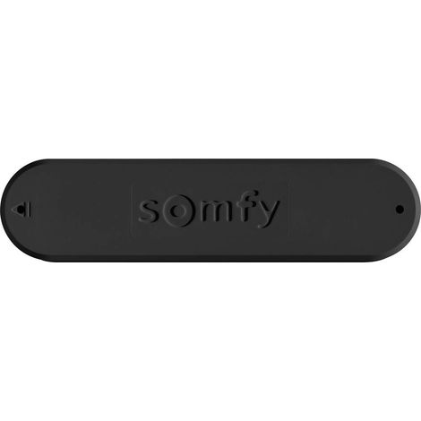 Somfy 9016354 Capteur de vent (1/2)