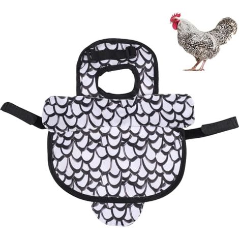 Selle Poulet, 1 Piece, Protection, Plumes, Volaille, Animal, Compagnie, Dos, Confort, Robuste (1/5)
