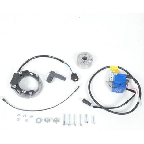 Zündung Stator Rotor Polini für Motorrad Derbi 50 Senda vor 2020 (1/5)