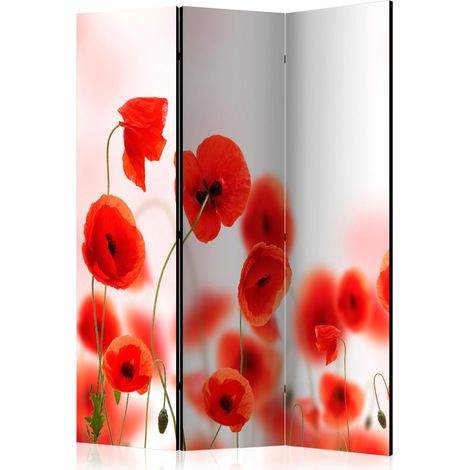 Paravento - Sleepy poppy's land [Room Dividers] - 135x172 (1/4)