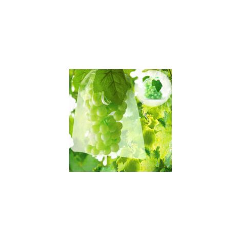 100 Sacchetti di protezione per frutta, sacchetti a rete per proteggere i grappoli d'uva da uccelli e insetti (vespe, calabroni), 30 x 20 cm - Crezuo