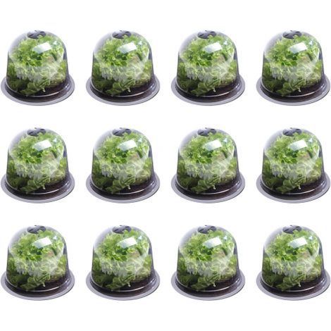 Lot de 12 cloches salades plastique PP transparent Ø25,5cm x 20cm aérateurs réglables plants (1/5)