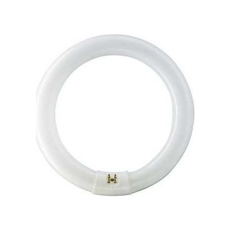 Philips 28474715 Lampadina G10q 40W 840 3200lm MASTER TL-E Circolare Super 80 Bianco Freddo