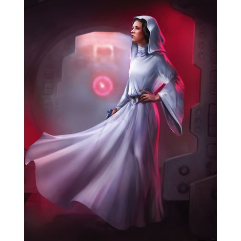 Photo Murale Intissé - Star Wars Leia (1/4)