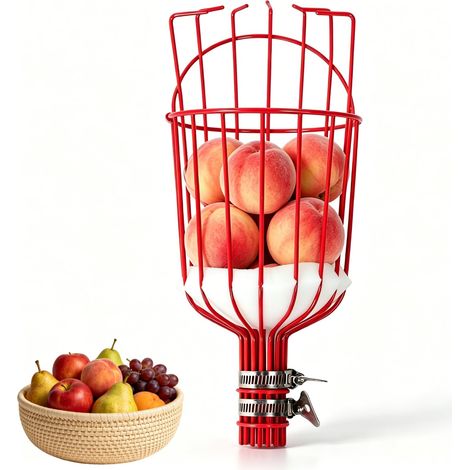 Outil récolte cueilleur Fruits, 25 x 2 x 15 cm, Panier cueillette Fruits à Visser (1/5)
