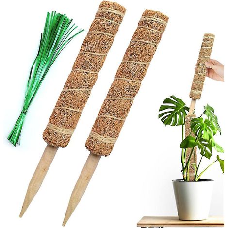 Lot de 2 tuteurs en mousse de 30 cm pour plantes grimpantes (1/5)