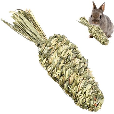 Jouets à mâcher pour Lapins - Soin des Dents pour Les gencives et Les Dents l'animal - Dentition Carotte d'anneau Boules d' pour des gerbilles, Cochon d'In (1/5)