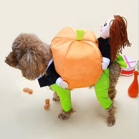 Déguisement amusant en coton 3D de citrouille transformable pour animaux de compagnie, idéal pour Halloween, le cosplay et les fêtes costumées. Convient aux chiens et aux chats. (1/5)