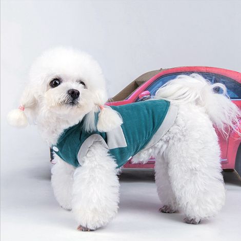 Manteau chaud en coton bleu épais, doux et confortable pour chien, idéal pour l'automne et l'hiver. Taille 4XL. (1/5)