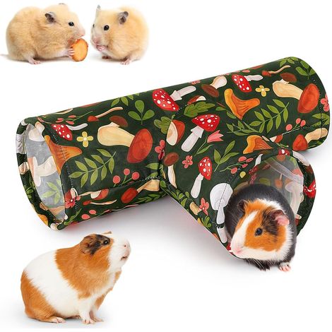 Tunnel Pliable 3 Voies pour Cochons d’Inde et Lapins, Tunnel pour Chat, Tunnel Lavable et Pliable, pour Lapins Cochons d'Inde Kitty Petit Animal Activité Tunnel Tube Tunnel Cachette (Vert) (1/5)