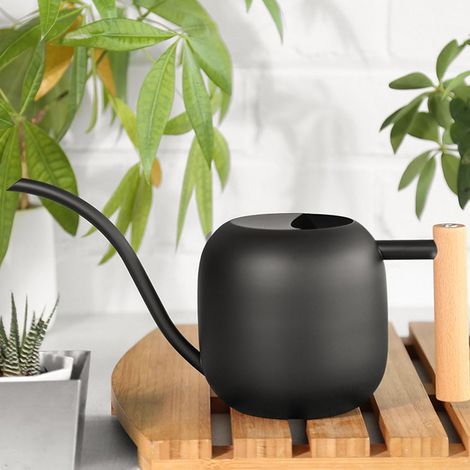 Arrosoir neuf en acier inoxydable à long bec, arrosoir ménager, arrosoir pour plantes en pot, grande capacité, noir. (1/5)