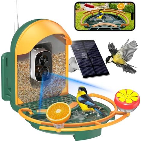 Mangiatoia per uccelli intelligente ad energia solare con telecamera, video HD 2K, verde scuro), identificazione AI, mangiatoia per uccelli con telecamera, vaschetta e mangiatoia per uccelli IP66 (1/5)