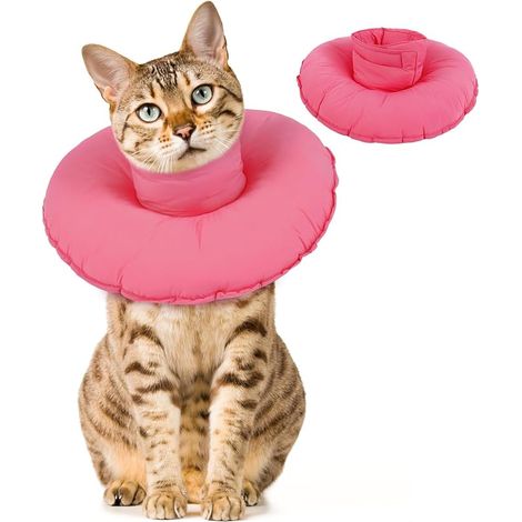 Collerette Chat Collerette Chat Donut Collier Conique Collier Convalescence Chaton(Rose, M) (1/3)