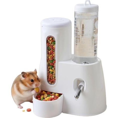 Dailygoods，Dispensador de comida 2 en 1，Bebedero automático，Botella de agua transparente de 125 ml，Apto para animales pequeños (1/5)