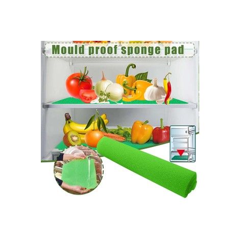 Mousse anti moisissure pour réfrigérateur – Taille 380 x 300 x 3 mm – Tapis antibactérien et antidérapant – Découpe libre(100 verts) (1/5)