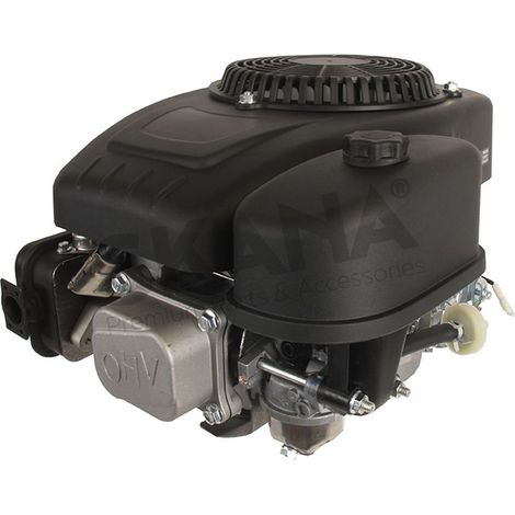 Moteur Tre224 Complet Avec Sortie Vilebrequin 22,2 X 80 Mm. Origine Stiga.