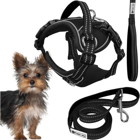TUTUMI HUNDELEINE UND GESCHIRR PJ-047 XS BLACK