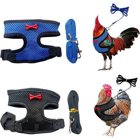 2 Pièces Harnais de Poulet Réglable, Nylon Respirant, Laisse Incluse, pour Poule Canard Oie (1/5)