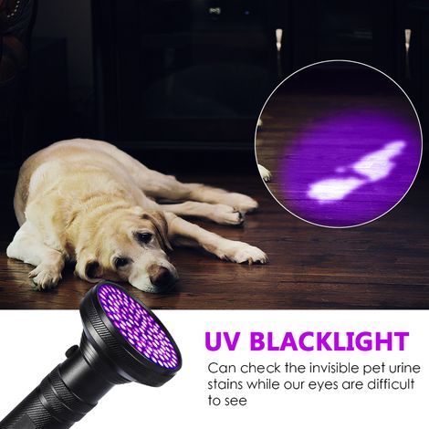 UV-Lampe zum Aufspüren von Haustierurin, 100-LED-Schwarzlicht-Taschenlampe, unsichtbarer Fleckendetektor, mit UV-Schutzbrille, schwarz, für Hunde und Katzen (1/5)