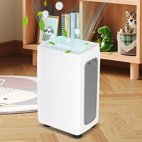 TolleTour Déshumidificateur d'air Pour Pièce de 20 à 25㎡ Portable 26L/Jour, Minuterie 24h (1/5)