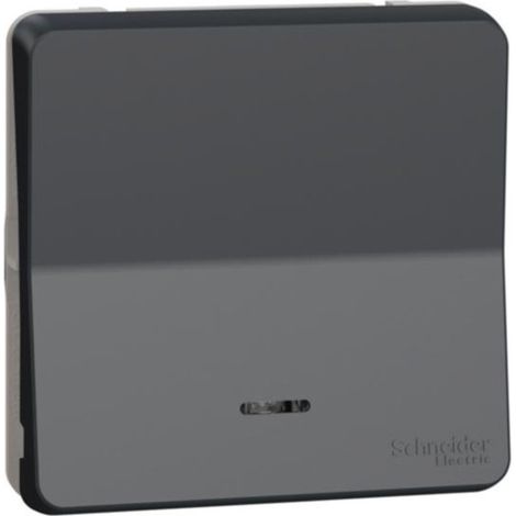 Pulsador con Led de Schneider Gris (1/3)