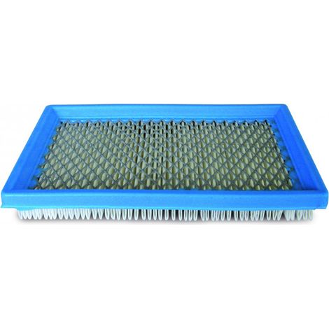Filtro aria Briggs e Stratton 397795, 395027