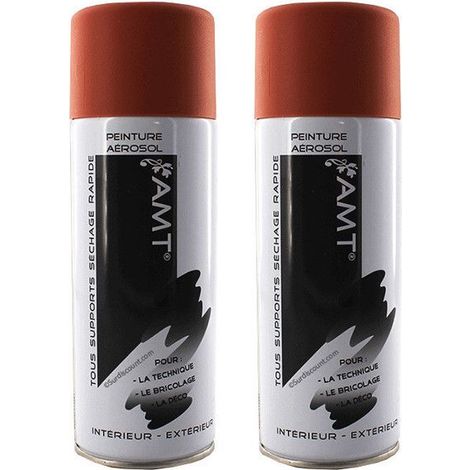 Lot de 2 bombes de peinture - blush mat - AMT