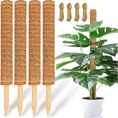 Tuteur en mousse pour plantes - Extensible jusqu'à 90 cm - Support pour plantes - Idéal pour Monstera, Pothos et autres - 4 x 30 cm - Corde de jute incluse (1/5)
