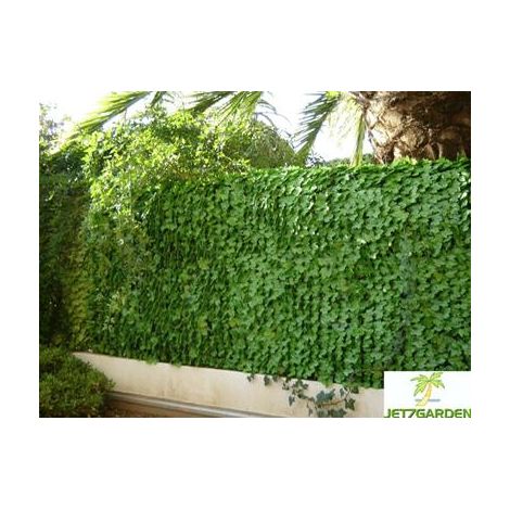 Haie artificielle feuilles de lierre 1,00m x 3m – Support grille plastique semi-souple – Traité anti-UV 9000 heures – Décoration outdoor/indoor – Jet7Garden