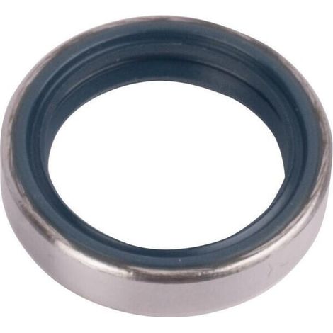 Anello b1sl 24x32x7 CARRARO CI025116 (1/2)