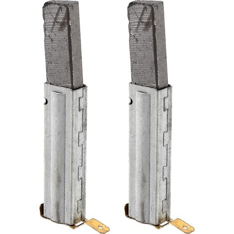 Lot de 2 balais de charbon universels pour moteur d'aspirateur compatibles Baiyun (1/5)
