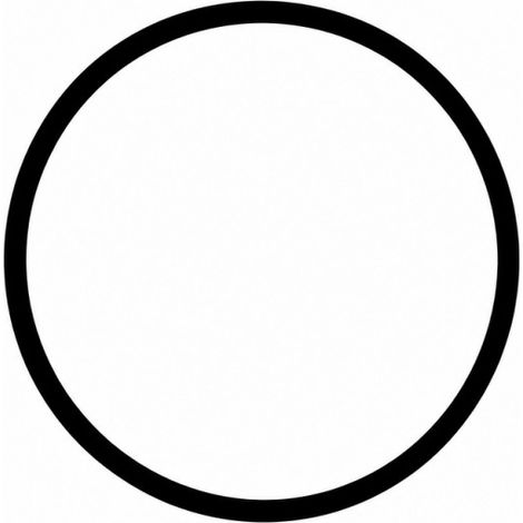 O-Ring für AstralPool mit Riemenverschluss