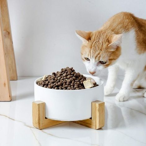 Gamelles pour Chat, Bol En CéRamique Pour Chat Et Chien, Bol En CéRamique AntidéRapant Pour Animaux De Compagnie avec support à bols en bambou et bois(Blanc) (1/5)