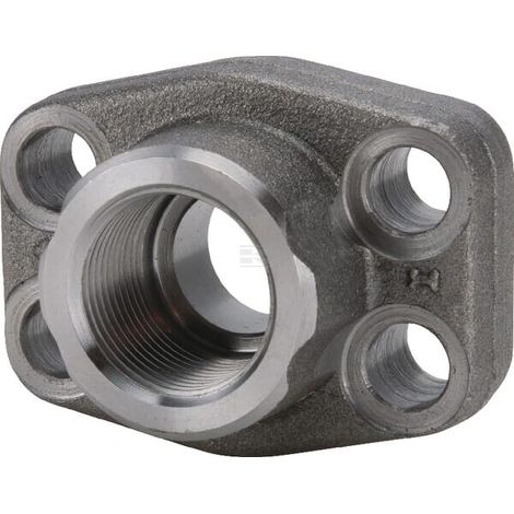 Brida SAE OLEO TECNICA AFS624G20 (1/3)